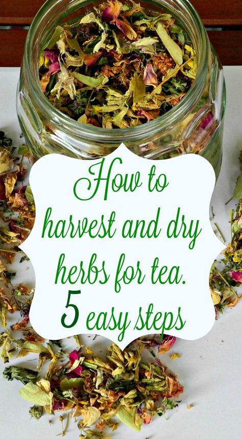 How To Dry Herbs And Flowers, Drying Leaves For Tea, Dry Herbs For Tea, Drying Tea Leaves, How To Dry Flowers For Tea, How To Dry Tea Leaves, Herbs To Grow For Tea, Drying Herbs For Tea, Canning Herbs