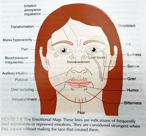 Chinese Face Map, Chinese Face Reading, Reading Body Language, Marionette Lines, Tupac Pictures, Reading Psychology, Reading Charts, Face Mapping, Ayurvedic Healing