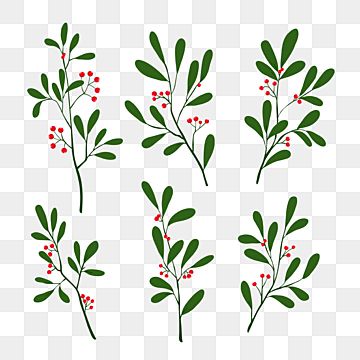 Mistletoe Plant, Draw Christmas, Plant Clipart, Branch Drawing, Christmas Branches, Leaves Wreath, Red Plants, Journal Diy, Christmas Plants