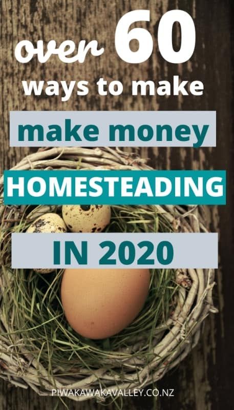 if you are wanting to make money from your homestead, backyard or home this is the post for you. Learn some side hustles to help make spare cash, what a brilliant financial step towards self reliance and self sufficiency! #sidehustle #sparecash #piwakawakavalley #homesteading Make Money Homesteading, Self Sufficient Homestead, Homesteading Diy, Homestead Farm, Farm Business, Future Farms, Homesteading Skills, Urban Homesteading, Homestead Survival