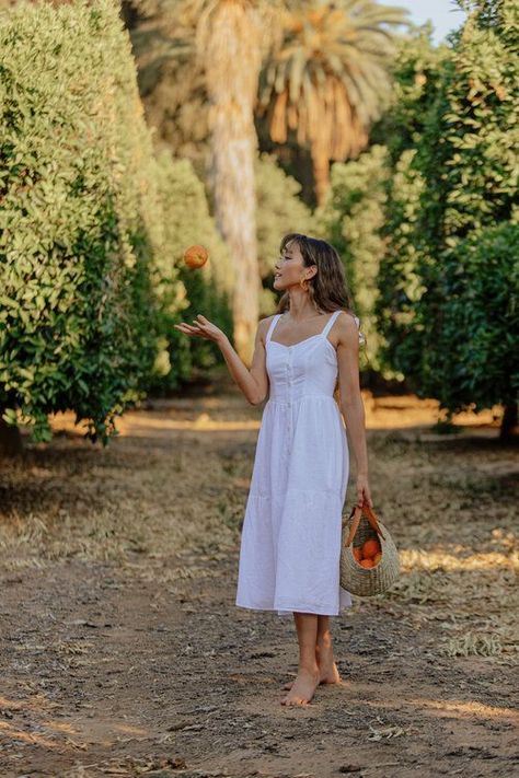 Fun moment in the orange groves. White UO dress. Southern California Lifestyle photoshoot. Orange Grove Photoshoot, Quirky Photography, Lemon Farm, Orange Farm, Orange Groves, Lifestyle Photoshoot, Orange Grove, Farm Photography, Shot List