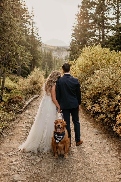 Dog Wedding Photo Ideas, Wedding Shoot With Dogs, Dog And Wedding, Bride And Dog Pictures, Dog In A Wedding, Outside Elopement, Wedding Pic With Dog, Dog In Wedding Pictures, Bridals With Dog