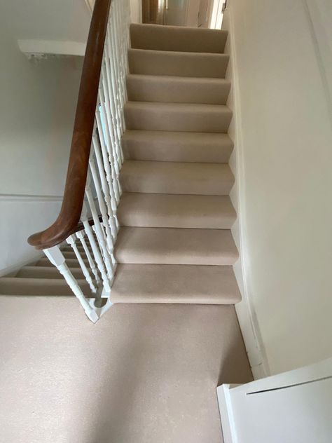 Cormar Carpets Pimlico Praline installation Cormar Carpets, Stair Carpet, Carpet Installation, Carpet Stairs, Carpet Runner, Stairs, Carpet, Flooring