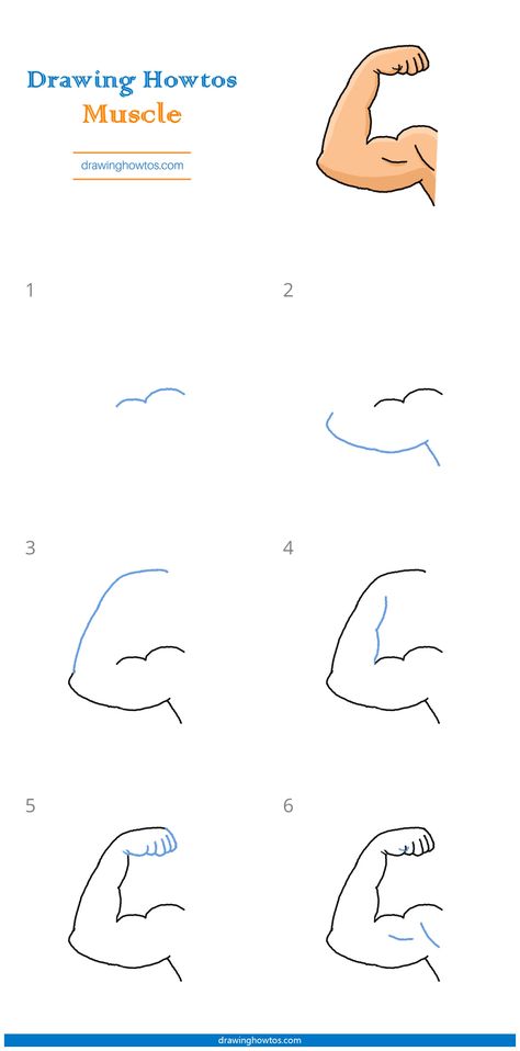 How To Draw Strong Arms, Tattoo On Muscle Arm, How To Draw A Muscle Arm, How To Draw Muscles Step By Step, Arm Drawing Tutorial Step By Step, How To Draw Arm Muscles, How To Draw Arms Step By Step, How To Draw An Arm, Muscle Drawing Sketches