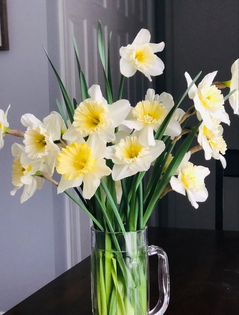 Daphodil Bouquet, Daffodil Arrangements, Daffodils Bouquet, Daffodils Flowers, Daffodil Bouquet, Daffodil Flower, Tiny Plants, Flower Therapy, Flowers For You