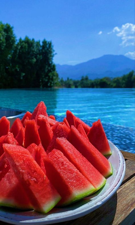 Aesthetic Watermelon, Watermelon Flower, Patio Gardening, Watermelon Cocktail, Easy Patio, Watermelon Drink, Idee Pasto, Watermelon Salad, Watermelon Recipes