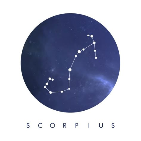 Check out this awesome 'Scorpius %28Scorpio%29 Constellation' design on @TeePublic! Scorpius Constellation, Constellation Scorpio, Scorpio Constellation, Alpha Centauri, Constellation Design, Astronomy Constellations, Constellation Tattoo, Zodiac Sign Tattoos, Star Illustration