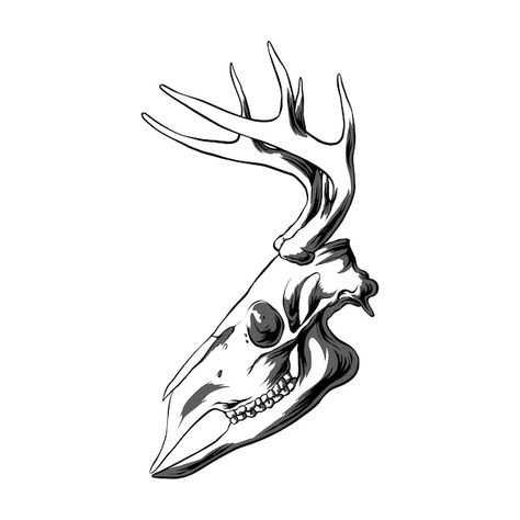 Vector deer head skull vector illustrati... | Premium Vector #Freepik #vector #deer-logo #deer-antlers #animal-skull #deer-head Deer Skull Side View, Deer Skull Drawing, Skull Drawing Tattoo, Antlers Drawing, Skull Side View, Deer Skull Tattoo, Skull Couple Tattoo, Elk Skull, Deer Skull Tattoos