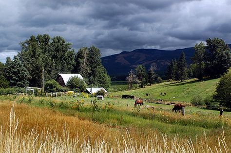 Oregon Farm - near Mt. Hood, Oregon Oregon Homestead, Oregon Farmhouse, Oregon Countryside, Rural Oregon, Oregon Farm, Mt Hood Oregon, Vision Bored, The Oregon Trail, Nice House