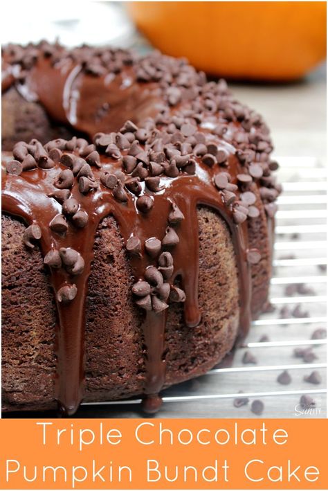 Triple Chocolate Pumpkin Cake has the taste of all the warm fall spices and a dark chocolate glaze. 5 Star Chocolate, Chocolate Pumpkin Cake, Pumpkin Bundt Cake, Chocolate Bundt, Chocolate Pumpkin, Chocolate Chip Cake, Chocolate Bundt Cake, Triple Chocolate, Pumpkin Chocolate