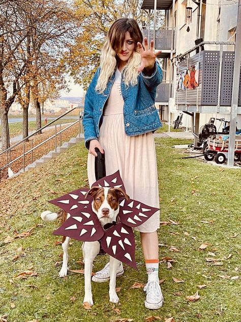 Dog Demogorgon Costume, Stranger Things Dog Costume, Eleven Stranger Things Halloween Costume, Eleven Costume Ideas, Stranger Things Trunk Or Treat, Eleven Stranger Things Halloween, Stranger Things Costume Ideas, Stranger Things Eleven Costume, Eleven Halloween Costume