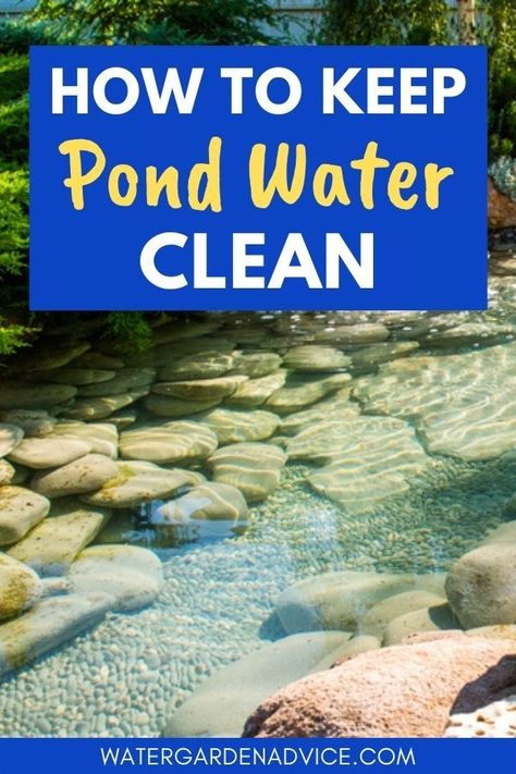 Pond Waterfall Ideas, Clear Pond Water, Pond Inspiration, Pond Spitters, Clear Pond, Small Backyard Ponds, Diy Ponds Backyard, Small Water Gardens, Waterfall Ideas