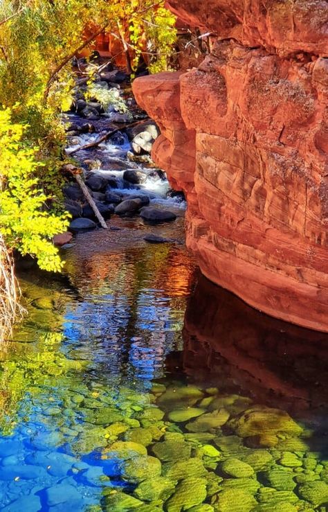 Hidden Swimming Pools, Arizona Swimming Holes, Arizona Hikes, Sedona Travel, Sedona Vacation, Natural Swimming Pools, Arizona Travel, Vegas Trip, Natural Pool