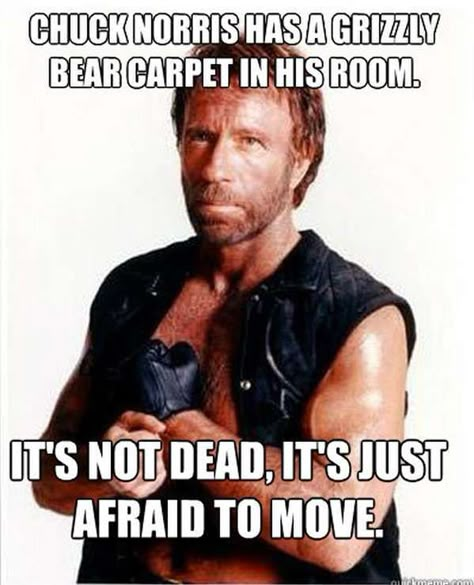 Chuck Norris Jokes | The 50 Best Chuck Norris Facts & Memes Chuck Norris Memes, Chuck Norris Funny, Chuck Norris Facts, Chuck Norris Jokes, Walker Texas Ranger, Texas Ranger, The Boogeyman, Golf Quotes, Golf Humor