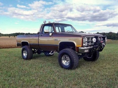 Fall Guy Truck, Older Trucks, Squarebody Chevy, Truck Chevy, Chevy K10, Fall Guy, Gmc Vehicles, Tv Cars, Vintage Pickup Trucks