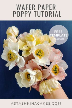 astashkina cakes wafer paper peony how to Edible Paper Flowers, Icelandic Poppy, Poppy Tutorial, Modern Cake, Paper Peony, Icelandic Poppies, Art Cakes, Wafer Paper Flowers, Petal Dust