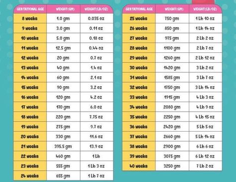 Baby’s Approximate Weight In The Womb Baby Growth In Womb, Baby Weight Chart, Baby In Womb, Baby Growth Chart, 4 Month Baby, Weight Chart, Pregnancy Photos Couples, Gestational Age, Pregnancy Info