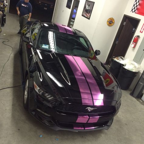 2015 Ford Mustang with pink chrome racing stripes! Mustang Racing Stripes, Mustang With Stripes, Wrapped Mustang, Pink Ford Mustang, Mustang Purple, Pink Mustang, Girl Driving, Purple Mustang, Black Mustang