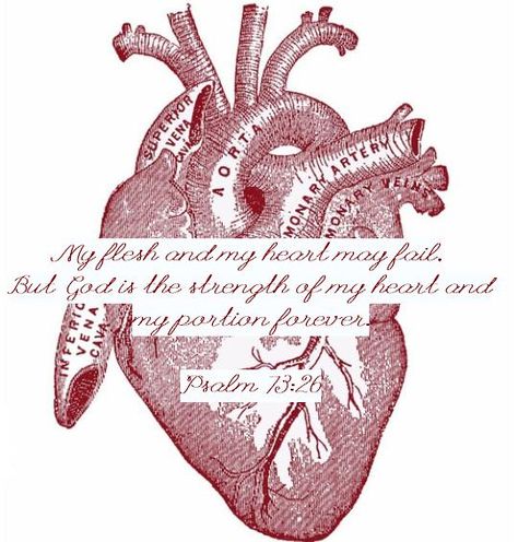 My reminder for nursing school Psalms 73:26 Tattoo, Nursing Bible Verses, Heart Surgery Tattoo, Heart Surgery Quotes, Heart Nursing, Surgery Quotes, Psalm 73, Cna School, Psalm 13