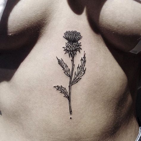 Thistle. Wildflower. Tattoo Flower Sleeve, Scotland Tattoo, Scottish Thistle Tattoo, Scottish Tattoo, Scottish Tattoos, Thistle Tattoo, 16 Tattoo, Half Sleeve Tattoos Drawings, Flower Sleeve