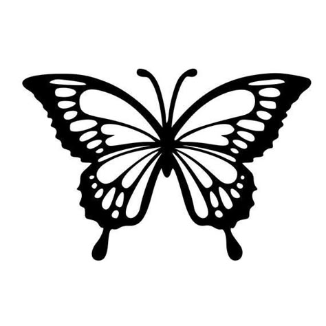 Pin by Leydi Lilibeth Ucharima Quispe on Fotos de paisagem | Butterfly drawing, Butterfly stencil, Butterflies svg Monarch Butterfly, Black And White, White, Black