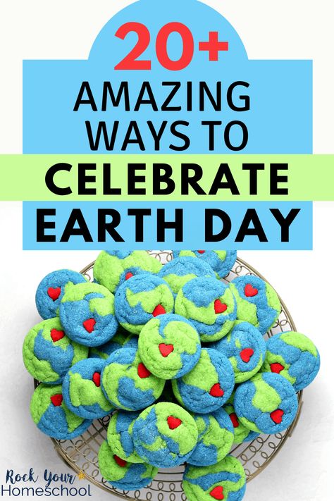 Earth Day Cookies, Earth Day Video, Fun Planner, Green Crafts For Kids, Earth Craft, Earth Day Projects, Recycled Crafts Kids, Subscription Boxes For Kids, Earth Day Crafts