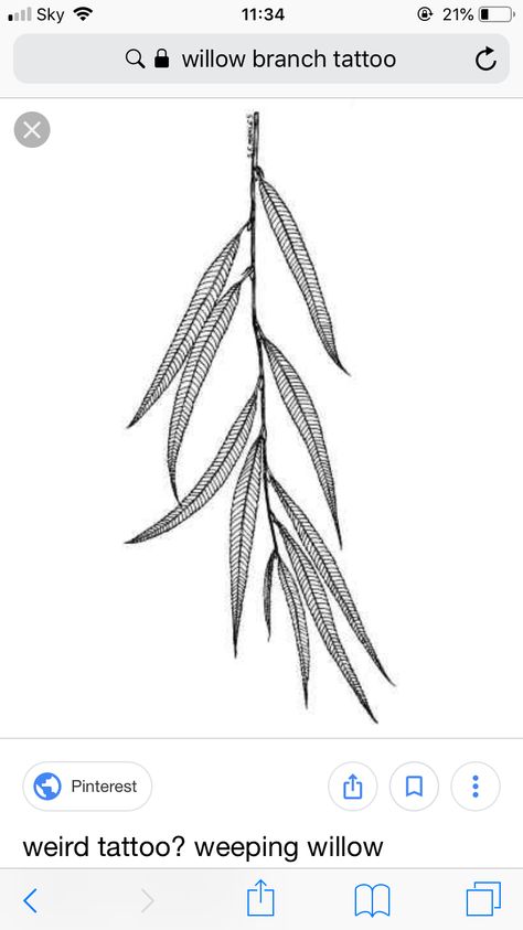 Weeping Willow Branch Tattoo, Willow Tattoos, Willow Branch Tattoo, Weeping Willow Tattoo, Willow Tattoo, 2023 Tattoo, Clavicle Tattoo, Branch Tattoo, Weird Tattoos