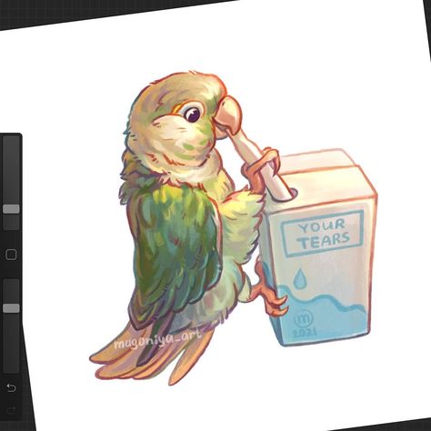 Conure Drawing, Sun Conure, Animated Images, Bird Drawings, Drawing Reference, Digital Artwork, Parrot, Illustrator, Instagram Profile