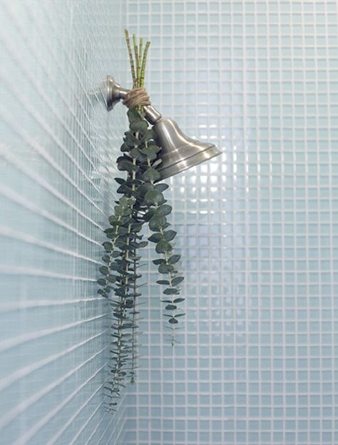 For a soothing experience in the tub, hang a eucalyptus plant from your shower head. Spa Hacks, Spa Getaways, Shower Spa, Lavender Lotion, Bathroom Hacks, Apartment Goals, Spa Night, House Tips, Spa Day At Home