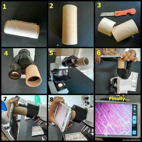 How to take a microscope picture Vet Tech Humor, Vet Tech School, Veterinary Tech, Vet Tech Student, Vet Technician, Vet Office, Veterinary Assistant, Vet Medicine, Vet Assistant