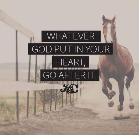 Quotes About Horses, Horse Poems, Livestock Quotes, Horse Wallpapers, Country Lyrics Quotes, Rodeo Quotes, Equine Quotes, Inspirational Horse Quotes, Western Quotes