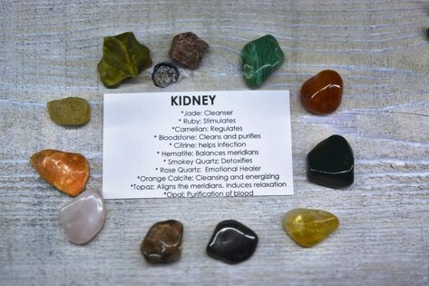 Kidney Healthy Foods, Healthy Kidneys, Kidney Health, Orange Calcite, Energy Crystals, Smokey Quartz, Health Awareness, Stone Settings, Healing Stones