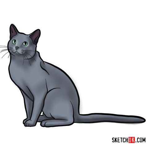 How to draw The Russian Blue cat Russian Cat, Tonkinese Cat, Easy Drawing Guides, Blue Drawings, Tonkinese, Pet Scrapbook, Cat Steps, Drawing Guides, Cat Tat