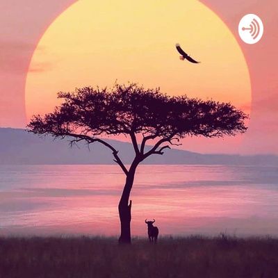 Heal Your Body Holistically by From the Forest Podcast • A podcast on Anchor Africa Photography, African Sunset, Hawaii Luau, Desenho Tattoo, Nature Travel, African Art, Beautiful Landscapes, Beautiful Nature, Landscape Paintings