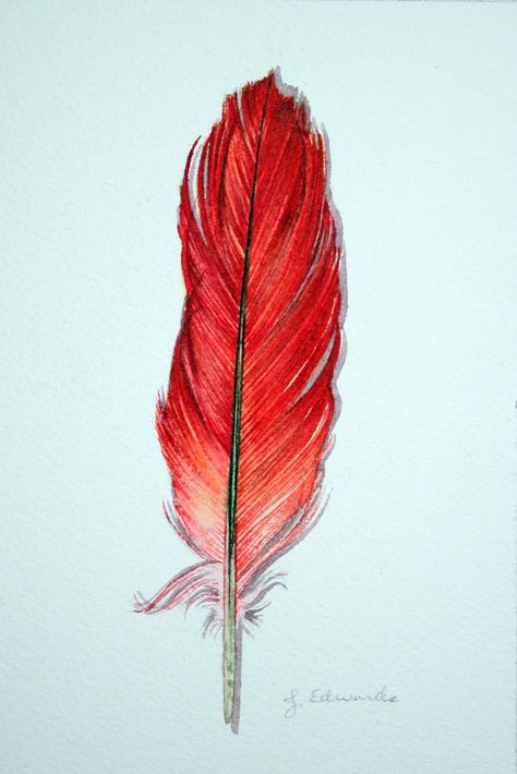 Parrot Feather Parrot Feather Tattoo, Parrot Feather, Feather Drawing, Glass Inspiration, Feather Painting, Feather Tattoo, Bird Feathers, Drawing Reference, Watercolor Tattoo