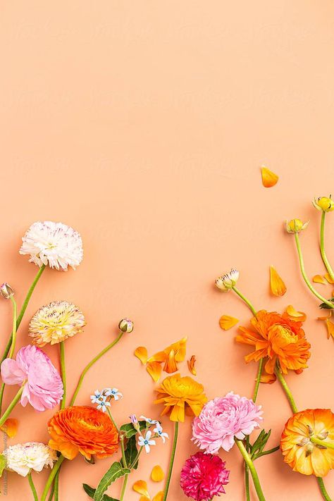 Bright Floral Background, Orange Flowers Photography, Flat Lay Flower Photography, Photo Flowers Photography, Flower Stock Photos, Summer Bright Aesthetic Wallpaper, Studio Flower Photography, Floral Photography Background, Floral Flatlay Photography