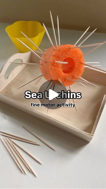 Jennifer Lee | Play, Learn & Inspire on Instagram: "🌊 Sea Urchins 🌊

Throwing it back to one of our favorite ocean themed fine motor activities…. Sea urchins! These are so easy to set up and the kids love it! You can find all of the supplies at @dollartreeclassrooms for this simple hand-strengthening craft. Follow along for more ocean themed fun this week!

#brightmamalight #finemotorskills #finemotoractivity #handeyecoordination #kidsactivities #earlylearning #dollartreefinds #dollartreecrafts #poolnoodles #kidssensoryplay" Sea Urchin Craft Preschool, Sea Urchin Craft, Summer Lesson Plans, Ocean Theme Crafts, Summer Lesson, Kids Sensory Play, Hand Strengthening, Jennifer Lee, Throwing It Back