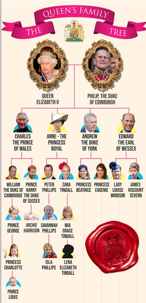 Immediate Royal Family Tree Heavily Pregnant, Royal Family Trees, Line Of Succession, Rainha Elizabeth Ii, Mike Tindall, Baby News, Lady Louise Windsor, Elisabeth Ii, Princess Beatrice