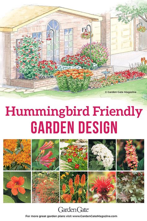 Hummingbird Garden Ideas Backyards, Humming Bird Garden Layout, Shade Garden Plans Layout, Hummingbird Garden Ideas, Butterfly Garden Design Layout, Pollinator Garden Layout, Hummingbird Garden Design, Butterfly And Hummingbird Garden, Hummingbird Garden Plan