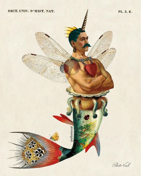 Tropical fish. Vintage surrealism | collage digital. © Beto Val. 2024. PRINTS: www.elbetoval.com #fish #digitalart #elbetoval… | Instagram Surrealism Collage, Fish Collage, Famous Art Paintings, Weird Photography, Kitsch Art, Digital Collage Art, Childrens Drawings, Collage Vintage, Collage Art Projects