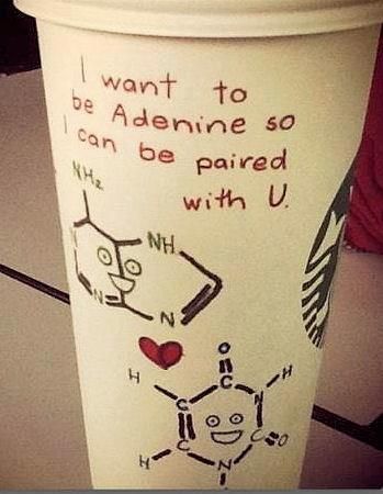 I want to  be Adenine so I can be paired with U Nerdy Pick Up Lines, Biology Jokes, Biology Humor, Nerdy Jokes, Nerdy Humor, Science Puns, Nerd Jokes, Chemistry Jokes, Biomedical Science