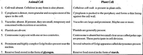 Difference Between Plant And Animal Cell, Animal Cell Activity, Animal Cells, Plant And Animal Cells, Cells Activity, Animal Cell, Science Notes, Biology Notes, Plant Cell