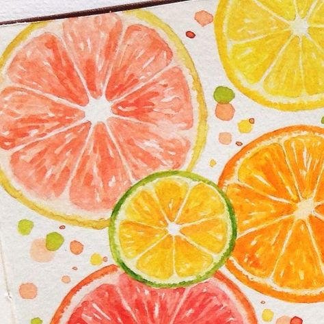 Nianiani on Instagram: "Summer citrus slice - tutorial up on my YouTube channel, nianiani 
.
.
.
.
.
#citrus #citrusfruit #foodpainting #foodillustration #fooddrawing #artistsoninstagram #artoninstagram #instaart #watercolor #watercolour #watercolortribe #watercolorpainting #watercolorillustration #worldwatercolorgroup #worldofartists #worldofart #watercolordaily #watercolorfood" Watercolor Citrus Fruit, Nianiani Watercolor, Citrus Drawing, Fantasy Museum, Citrus Watercolor, Fruit Drawings, Citrus Slice, Fruits Drawing, Watercolor Birthday Cards