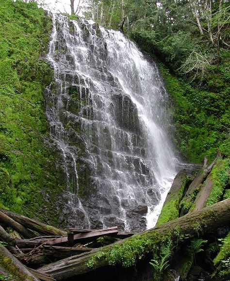 Washington State Rainforest, Pacific Coast Trail Hiking, Oregon Hiking, Tillamook State Forest Oregon, Tillamook Oregon, Pacific Coast Trail, Oregon Hikes, Pacific City, Mountain Trails