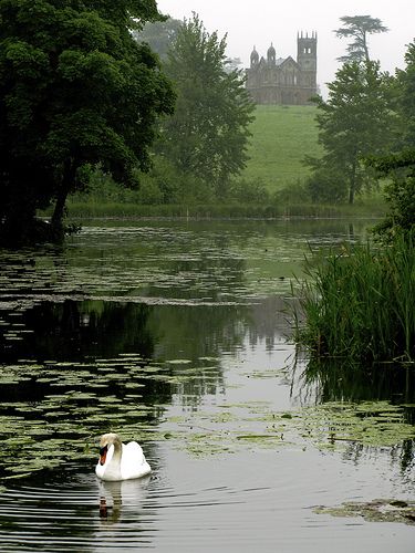 Stowe Gardens, Swan Pond, Building A Pond, Fountains Backyard, Pond Liner, Pond Landscaping, Natural Pond, Backyard Water Feature, Moving Water