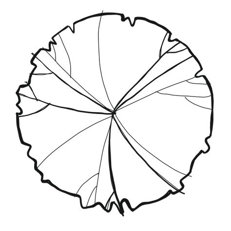 Trees Sketch Architecture, Tree Plan Sketch, Tree Top View Png Photoshop, Site Plan Trees, Tree Architecture Drawing, Tree Dwg, Tree Plan Photoshop, 2d Tree, Tree Plan Png