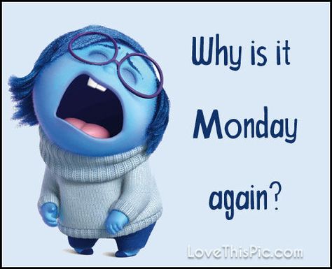 Why is it Monday again? Monday Coming At Ya Like, Oh No It's Monday Again, Not Monday Again Funny, It’s Monday Again, Monday Humor Back To Work, Monday Wallpaper Aesthetic, Monday Again Humor, It’s Monday Funny, Monday Again Quotes