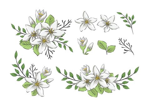 Arabian Jasmine Flower Tattoo, Arabian Jasmine Flower, Jasmine Flower Tattoo, Jasmine Drawing, Jasmine Tattoo, Arabian Jasmine, Flower Tat, Flower Elements, Jasmine Plant