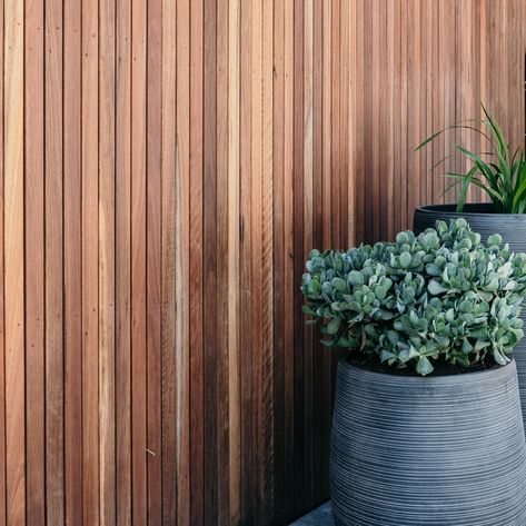 Pot Cluster, Spotted Gum Decking, Timber Screen, Sandstone Wall, Outdoor Pool Area, Timber Screens, Box Garden, Timber Cladding, Garden Boxes