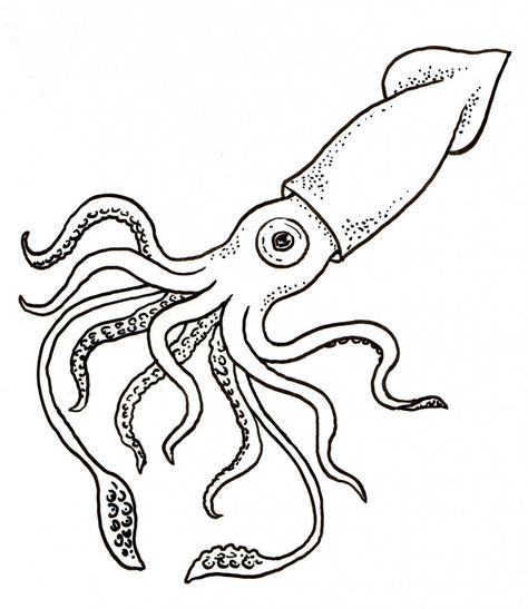 Giant Squid Color Page Squid Coloring Page, Giant Squid Drawing, Sealife Drawing, Squid Art, Squid Drawing, Colossal Squid, Squid Tattoo, Giant Squid, Kid Coloring Page